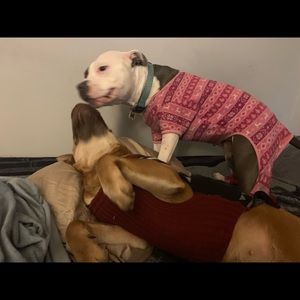 Meet your Posher, Christian